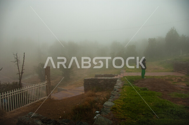 قضاء وقت ممتع في الطبيعة والهواء الطلق، الزوار والسائحين في منتزه غابة رغدان في مدينة الباحة، الاهتمام بالتشجير وزراعة النباتات الخضراء في مدن المملكة العربية السعودية، أماكن طبيعية عائلية ترفيهية، الأجواء الشتوية الضبابية