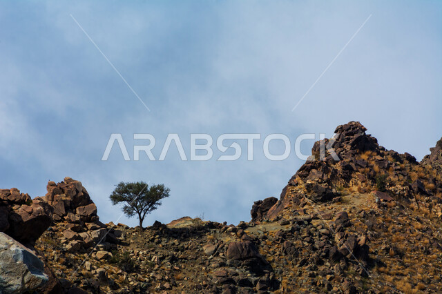 الجبال والتكوينات والتشكيلات الصخرية في الطائف غرب المملكة، المناظر الطبيعية في السعوية، القمم والمرتفعات الجبلية، الاماكن والمعالم السياحية، منظر السماء الزرقاء في النهار