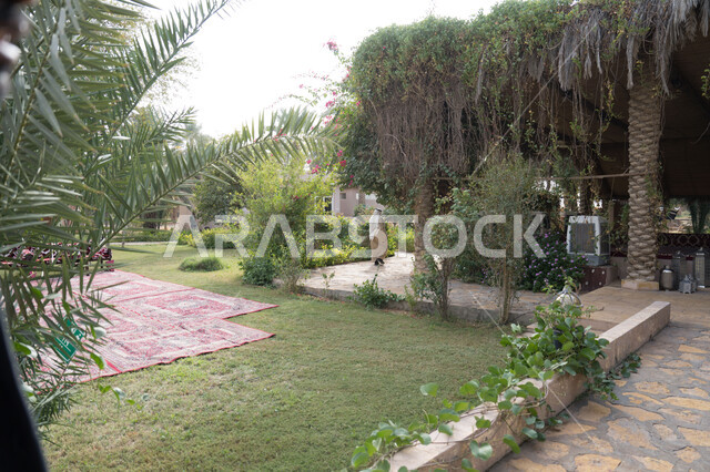 Green palm farms in Saudi Arabia, a nature reserve for palm cultivation ...