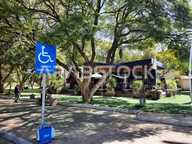 لافتة باللون الأزرق لموقف خاص بذوي الاحتياجات الخاصة في شارع الفنون في أبها بمنطقة عسير. الأماكن والمعالم السياحية المشهورة في المملكة العربية السعودية, الاهتمام بزراعة الأشجار والنباتات الخضراء