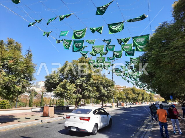 الاحتفال باليوم الوطني السعودي 23 سبتمبر, الأعياد والمناسبات الوطنية, يوم العلم السعودي 11 مارس, علم المملكة العربية السعودية يرفرف في السماء, المعالم السياحية المشهورة, شارع الفنون في أبها بمنطقة عسير في النهار