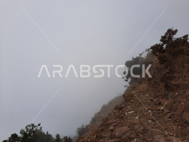 Green plants growing on mountain slopes, peaks and heights in mountainous areas, famous natural tourist places in the Kingdom of Saudi Arabia, foggy weather in the mountains of Abha city in Asir region