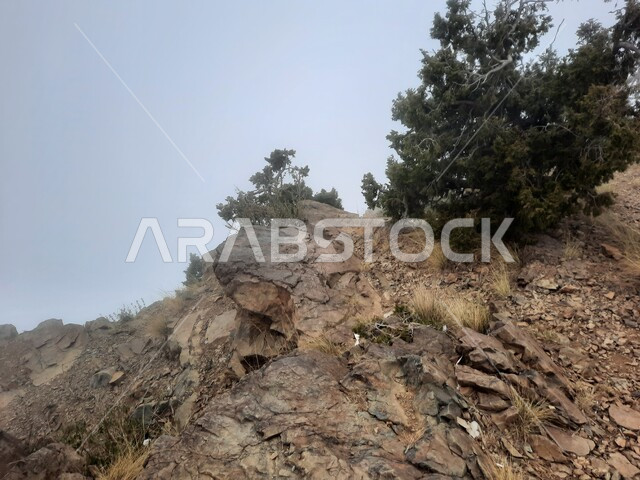 التضاريس والتكوينات الصخرية, نمو النباتات الخضراء على سفوح الجبل, القمم والمرتفعات في المناطق الجبلية, الأماكن السياحية الطبيعية المشهورة في المملكة العربية السعودية, الجو الضبابي في جبال مدينة أبها في منطقة عسير