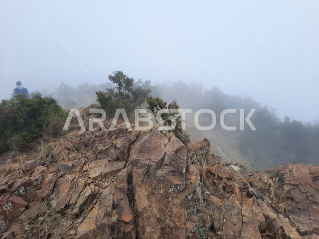 التضاريس والتكوينات الصخرية, نمو النباتات الخضراء على سفوح الجبل, القمم والمرتفعات في المناطق الجبلية, الأماكن السياحية الطبيعية المشهورة في المملكة العربية السعودية, الجو الضبابي في جبال مدينة أبها في منطقة عسير