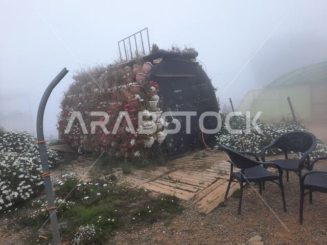 تقدم وتطور القطاع الزراعي, الجو الضبابي في مزرعة الفراولة في أبها بمنطقة عسير, الاهتمام بالمزارع والأراضي الزراعية, الاماكن والمعالم الطبيعية المشهورة في المملكة العربية السعودية, الانتاج المحلي الوطني