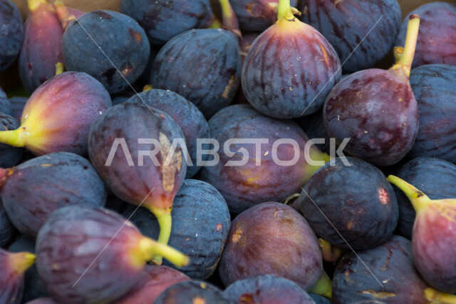 صورة مقربة لمجموعة من حبات التين ، فاكهة التين الشهية اللذيذة ،  فواكه صحية مفيدة في المملكة العربية السعودية