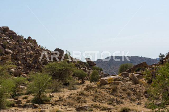 Skønheden i klippeformationerne i landsbyen Bani Saad i Taif i Kongeriget Saudi-Arabien, naturlige og arkæologiske vartegn, bjerge, træer og klipper, den maleriske natur i Saudi-Arabien