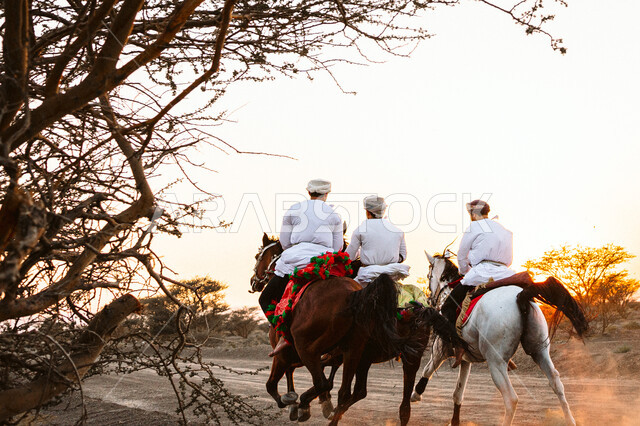 شغف الفروسية وهواية ركوب الخيل، علاقة أبناء الوطن بالخيل العماني الأصيل، صورة من الخلف لرجال عربيين خليجيين عمانيين يرتدون  الدشداشة والكمه يمتطون ظهر الأحصنة، التجول في الطبيعة الصحراوية على  الفرس في منطقة بهلاء، اتباع تقاليد الأجداد برعاية وتربية الجياد