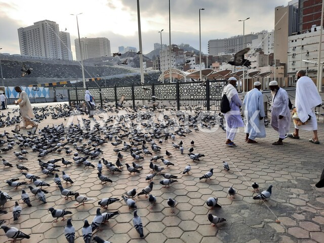 الحجاج والمعتمرين يطعمون الحمام، زوار بيت الله في الفناء الخارجي للحرم المكي في مكة المكرمة، أماكن ومعالم دينية إسلامية مقدسة في المملكة العربية السعودية، أداء مناسك الحج والعمرة, الفن الهندسي المعماري للابراج والفنادق المطلة على ساحة المسجد الحرام