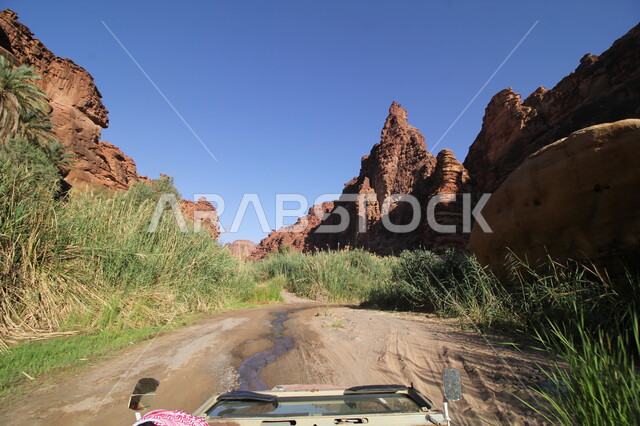 المناطق الصحراوية والكثبان الرملية في البراري، معالم اثرية تاريخية قديمة، رحلة ومغامرة برية استكشافية في وادي الديسة، التجول في سيارة وسط سلسلة الجبال والتكوينات والتشكلات الصخرية في منطقة تبوك، اماكن سياحية مشهورة في المملكة العربية السعودية