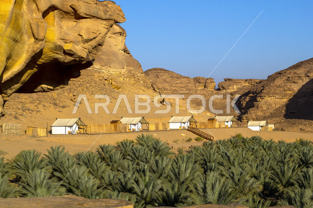 التكوينات والتشكيلات الصخرية في الصحاري، الاهتمام بزراعة أشجار النخيل، مجموعة من الخيام البيضاء في صحراء المملكة العربية السعودية، مغامرة ورحلة ترفيهية، التخييم في المناطق الصحراوية في محافظة العلا، مكان ومنطقة سياحية مشهورة، جلسة وكشتة شبابية في البرية