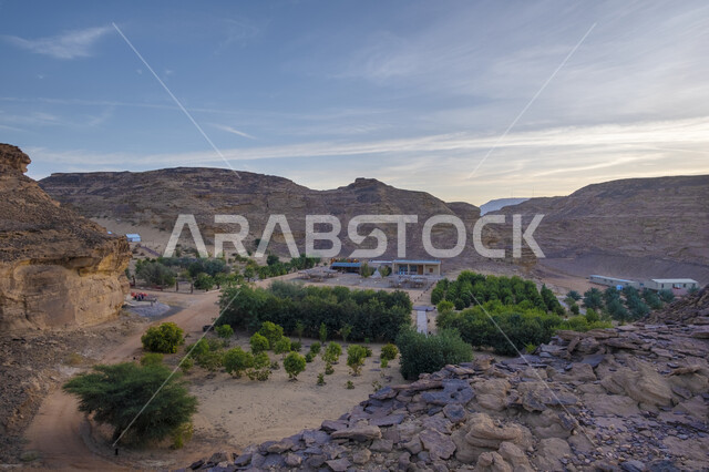 التشكيلات والتكوينات الصخرية في الصحاري، مساحة واسعة لزراعة النباتات والأشجار الخضراء، مجموع خيام في صحراء المملكة العربية السعودية، مغامرة ورحلة ترفيهية، التخييم في المناطق الصحراوية في محافظة العلا، مكان ومنطقة سياحية مشهورة، جلسة وكشتة شبابية في البرية