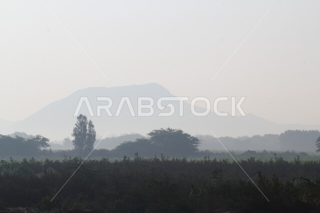 النباتات الخضراء واشجار النخيل، الاستمتاع بالمناظر الطبيعية في وقت النهار، منظر السماء الملبدة بالغيوم والأجواء الضبابية في طبيعة مكة المكرمة، مكان ومنطقة سياحية في المملكة العربية السعودية، المساحات و الأراضي الزراعية الواسعة