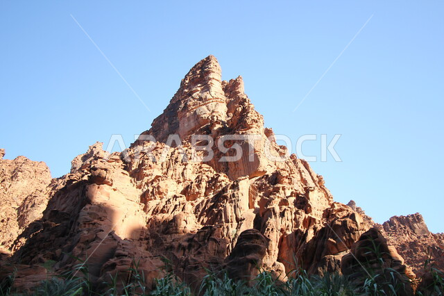 التكوينات والتشكيلات الصخرية على الوديان الجبلية في الأماكن الأثرية التاريخية، التضاريس الجبلية الطبيعية في المملكة العربية السعودية، أرض النخيل والعيون، وادي الديسة في منطقة تبوك في النهار، نمو النبات البري والشوكي، مكان ومنطقة سياحية مشهورة