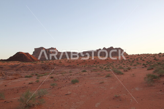 التضاريس الجبلية الطبيعية في المملكة العربية السعودية، التكوينات والتشكيلات الصخرية على الوديان الجبلية في الأماكن الأثرية التاريخية، أرض النخيل والعيون، وادي الديسة في منطقة تبوك في النهار، نمو النبات البري والشوكي، مكان ومنطقة سياحية مشهورة