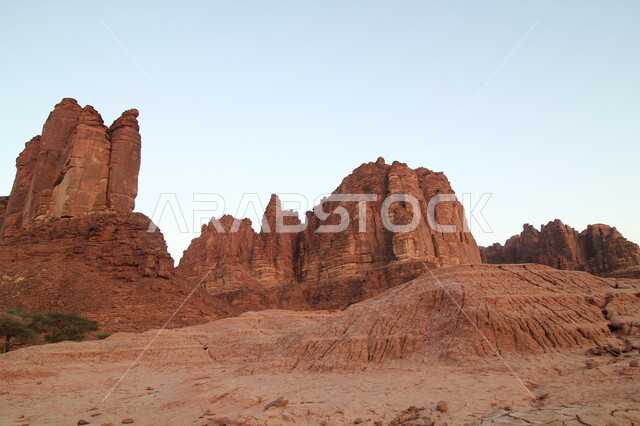 التضاريس الجبلية الطبيعية في المملكة العربية السعودية، نمو النبات البري والشوكي، وادي الديسة في منطقة تبوك في النهار، أرض النخيل والعيون، التكوينات والتشكيلات الصخرية على الوديان الجبلية في الأماكن الأثرية التاريخية، مكان ومنطقة سياحية مشهورة