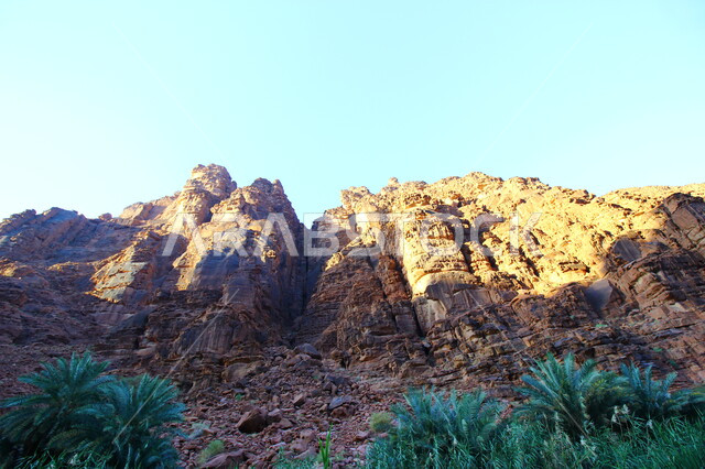 التضاريس الجبلية الطبيعية في المملكة العربية السعودية، نمو النبات البري والشوكي، وادي الديسة في منطقة تبوك في النهار، أرض النخيل والعيون، مكان ومنطقة سياحية مشهورة، التكوينات والتشكيلات الصخرية على الوديان الجبلية في الأماكن الأثرية التاريخية