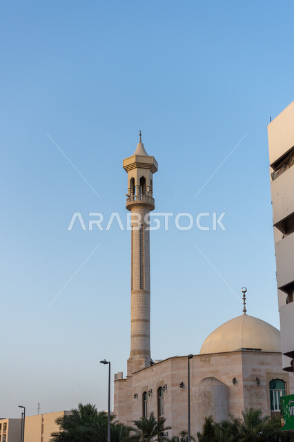 مسجد الكرامة المركزي في مدينة دبي في النهار، الفن الهندسي المعماري لبناء المساجد على الطراز العربي الإسلامي, التصميم والديكور العريق للقبب والمآذن, أماكن أداء فريضة الصلاة في الإمارات العربية المتحدة