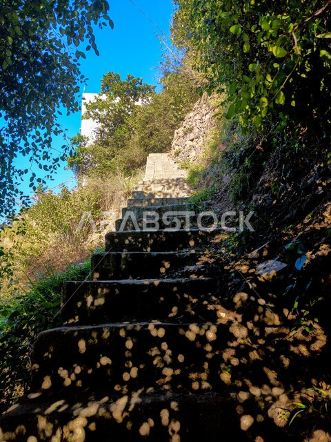 الأشجار والنباتات ومساحات الطبيعة الخضراء، المدرجات الزراعية على السفوح الجبلية، جبال فيفاء في جازان جنوب المملكة العربية السعودية، القمم والمرتفعات الصخرية، أماكن ومعالم سياحية طبيعية، الجو الضبابي الغائم في المناطق المرتفعة