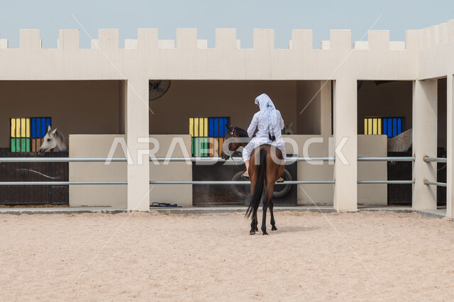 الخيل العربي الأصيل، تنمية مهارة الفروسية، صورة من الخلف لرجل عربي خليجي قطري يرتدي الثوب التقليدي والغترة يمتطي حصان بني اللون في ميدان بالدوحة، ترويض الفرس وتدريبها، المشاركة في المسابقات والمنافسات الرياضية