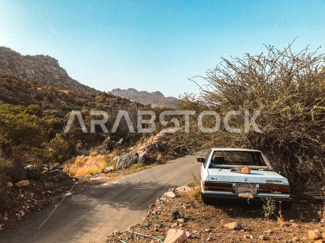 مصيف الشفا بمنطقة الطائف في النهار, أماكن رحلات الاستكشاف الترفيهية الممتعة, سيارة تويوتا زرقاء مركونة على طرف الطريق, نمو النباتات الخضراء في المناطق الجبلية, المعالم السياحية الطبيعية المشهورة في المملكة العربية السعودية