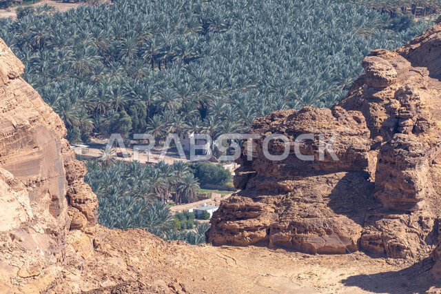 محمية طبيعية لزراعة النخيل، واحات أشجار النخيل الخضراء، صورة علوية للمزارع في محافظة العلا بالمملكة العربية السعودية، أماكن سياحية تراثية، محاصيل ومنتجات زراعية وطنية، موسم حصاد التمور، التشكلات والتكوينات الصخرية، القمم والمرتفعات الجبلية