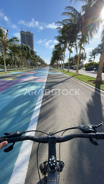 الاهتمام بزراعة أشجار النخيل، صورة مقربة لدراجة هوائية على ممر السعادة في كورنيش مدينة جدة في المملكة العربية السعودية في النهار، الأبراج وناطحات السحاب المطلة على ساحل البحر الأحمر، مكان ومنطقة سياحية مشهورة