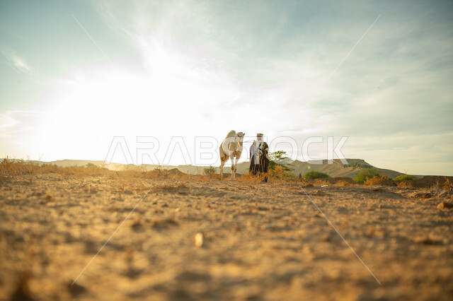 The association of camels with authenticity and antiquity, interest and care in raising camels, the day we started, February 22, the anniversary of the founding of the first Saudi state in 1727 AD, wearing traditional dress on the national occasion, a Saudi Gulf Arab man wearing a golden headband and a bisht standing next to a camel in the desert