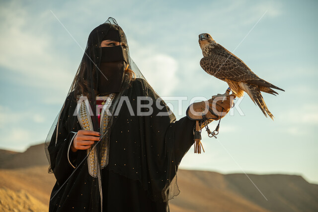Anniversary of the founding of the first Saudi state 1727 AD, the concept of predation and visual acuity, the day we started February 22, the status of falcons in Saudi history, raising birds of prey in Saudi Arabia, a close-up photo of a Saudi Gulf Arab woman wearing the Saudi women's bisht and burqa with a falcon standing on her hand in the desert