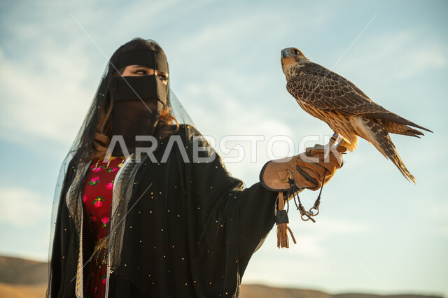 ذكرى تاسيس الدوله السعوديه الاولى 1727م, مفهوم الافتراس وحدة البصر, يوم بدينا 22 فبراير، مكانة الصقور في التاريخ السعودي ,تربية الطائر الجارح في السعودية, صورة مقربة لامرأة عربية خليجية سعودية ترتدي البشت النسائي السعودي و البرقع يقف على يدها الصقر في الصحراء