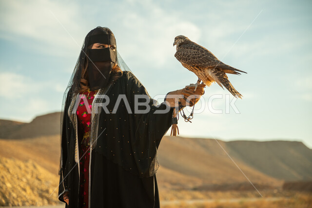 مفهوم الافتراس وحده البصر, يوم بدينا 22 فبراير، مكانة الصقور في التاريخ السعودي ,تربية الطائر الجارح في السعودية, ذكرى تاسيس الدوله السعوديه الاولى 1727م, امرأة عربية خليجية سعودية ترتدي البشت النسائي السعودي و البرقع يقف على يدها الصقر في الصحراء