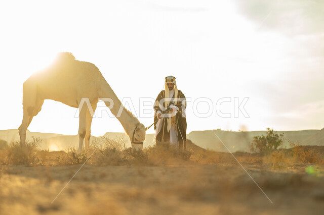 الاهتمام والعناية بتربية حيوانات الجمال، ارتباط الإبل بالأصالة والعراقة، يوم بدينا 22 فبراير، ارتداء الزي الشعبي في المناسبة الوطنية، رجل عربي خليجي سعودي يرتدي العقال الذهبي والبشت يقف بجانب حيوان الجمل في الصحراء، ذكرى تأسيس الدولة السعودية الأولى في 1727م