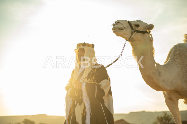 Anniversary of the founding of the first Saudi state in 1727 AD, wearing traditional costume on the national occasion, the association of camels with authenticity and antiquity, interest in raising camels, a close-up photo of a Saudi Gulf Arab man wearing a golden headband and a bisht standing next to a camel in the desert, the day we started, February 22