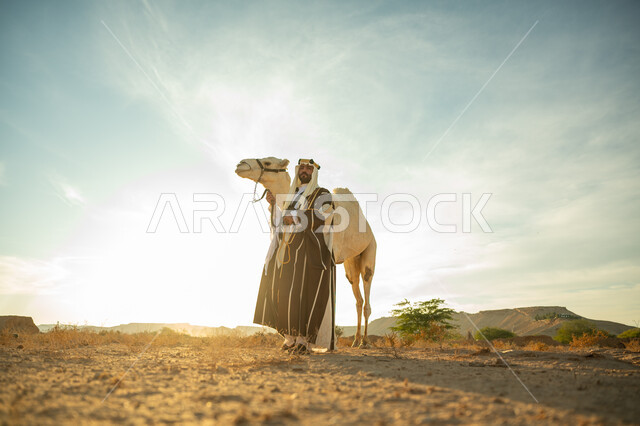 يوم بدينا 22 فبراير، ارتداء الزي الشعبي في المناسبة الوطنية، ارتباط الإبل بالأصالة والعراقة، العناية والاهتمام بتربية حيوانات الجمال، رجل عربي خليجي سعودي يرتدي العقال الذهبي والبشت يقف بجانب حيوان الجمل في الصحراء، ذكرى تأسيس الدولة السعودية الأولى في 1727م