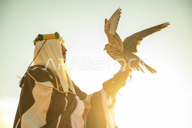 The status of falcons in Saudi history, the anniversary of the founding of the first Saudi state 1727 AD, the day we started February 22, interest in raising and training birds, a close-up photo from the side of a Saudi Gulf Arab man wearing a ghutra and a bisht holding a falcon in his hand with expressions of pride, a background of the sky with the bright sun