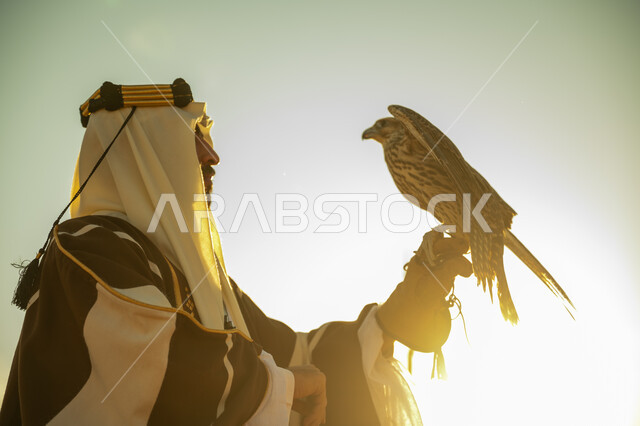 The status of falcons in Saudi history, the day we started February 22, interest in raising and training birds, the anniversary of the founding of the first Saudi state 1727 AD, a close-up photo from the side of a Saudi Gulf Arab man wearing a ghutra and a bisht holding a falcon in his hand with expressions of pride, the background of the sky with the bright sun