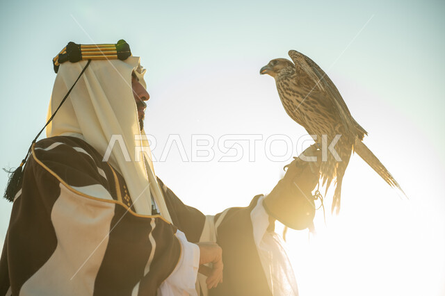 The status of falcons in Saudi history, the day we started February 22, interest in raising and training birds, the anniversary of the founding of the first Saudi state 1727 AD, a close-up photo from the side of a Saudi Gulf Arab man wearing a ghutra and a bisht holding a falcon in his hand with expressions of pride, the background of the sky with the bright sun