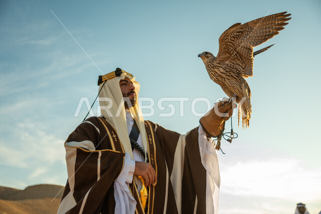 مناسبة وطنيه شعبيه, ذكرى تاسيس الدوله السعوديه الاولى 1727 م, يوم بدينا 22 فبراير، العناية بتربية الطيور و تدريبها, مكانة الصقور في التاريخ السعودي, صورة مقربة لرجل عربي خليجي سعودي يرتدي الغترة والبشت يحمل على يده طائر الصقر بتعابير الفخر
