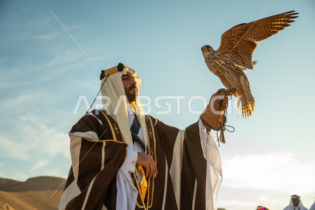الاهتمام بتربية الطيور و تدريبها, مكانة الصقور في التاريخ السعودي, صورة مقربة لرجل عربي خليجي سعودي يرتدي الغترة والبشت يحمل على يده طائر الصقر بتعابير الفخر, يوم بدينا 22 فبراير، ذكرى تاسيس الدوله السعوديه الاولى 1727 م, مناسبة وطنيه شعبيه