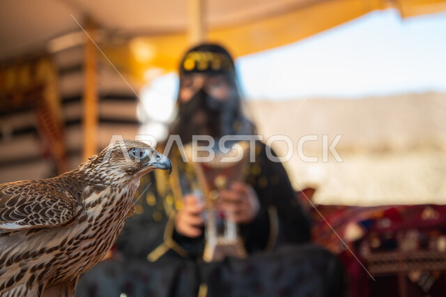 اتباع عادات وتقاليد دول الخليج بالتبخر، مكانة الصقور في التاريخ السعودي, ذكرى تأسيس الدوله السعوديه الأولى 1727م, يوم بدينا 22 فبراير، الافتراس وحدة البصر, امرأة عربية خليجية سعودية ترتدي الزي الشعبي للأعياد الوطنية والبرقع تحمل بيدها المبخرة وأمامها الصقر