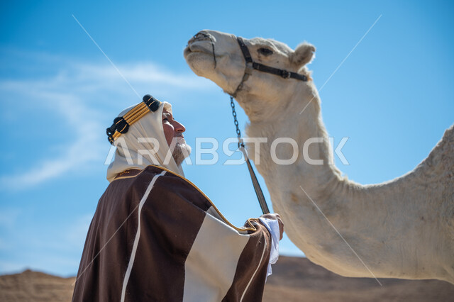 ارتباط الإبل بالأصالة والعراقة، الاهتمام والعناية بتربية حيوانات الجمال، رجل عربي خليجي سعودي يرتدي العقال الذهبي والبشت يقف بجانب حيوان الجمل في الصحراء, ارتداء الزي الشعبي في المناسبة الوطنية، يوم بدينا  22 فبراير، ذكرى تأسيس الدولة السعودية الأولى في 1727م