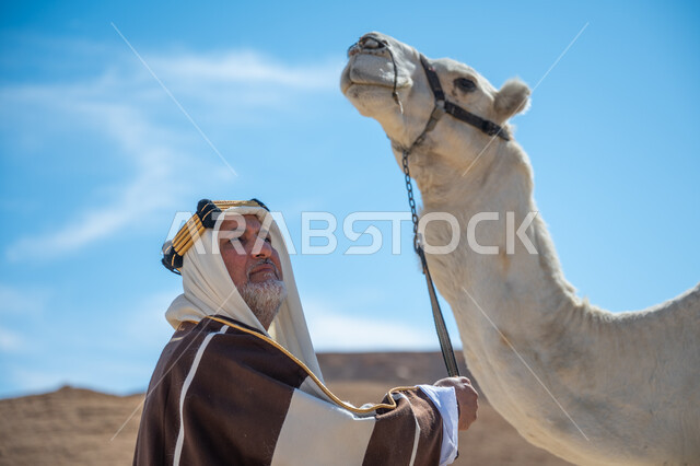 ارتداء الزي الشعبي في المناسبة الوطنية، يوم بدينا  22 فبراير، الاهتمام والعناية بتربية حيوانات الجمال، رجل عربي خليجي سعودي يرتدي العقال الذهبي والبشت يقف بجانب حيوان الجمل في الصحراء, ارتباط الإبل بالأصالة والعراقة، ذكرى تأسيس الدولة السعودية الأولى في 1727م
