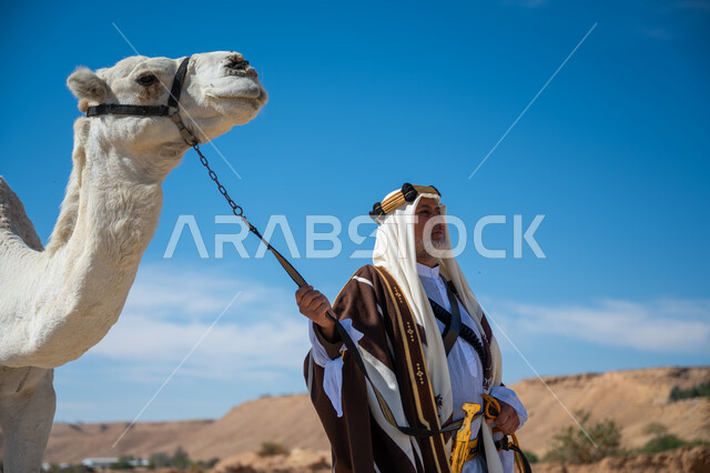 ارتباط الإبل بالأصالة والعراقة، ارتداء الزي الشعبي في المناسبة الوطنية، يوم بدينا  22 فبراير، الاهتمام والعناية بتربية حيوانات الجمال، رجل عربي خليجي سعودي يرتدي العقال الذهبي والبشت يقف بجانب حيوان الجمل في الصحراء, ذكرى تأسيس الدولة السعودية الأولى في 1727م