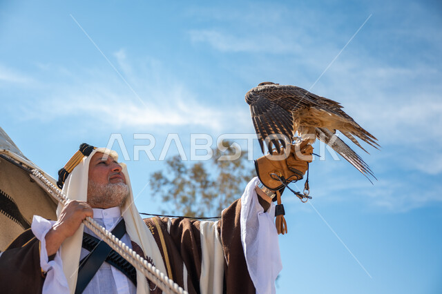 ذكرى تأسيس الدولة السعودية الأولى في 1727م، يوم بدينا  22 فبراير، صورة مقربة لرجل عربي خليجي سعودي يرتدي العقال الذهبي والبشت يقف بجوار خيمة في الصحراء يحمل طائر الصقر على يده, ترويض وتدريب الطيور الجارحة، ارتداء الزي الشعبي في المناسبة الوطنية، رمز القوة والتحدي وحدة البصر