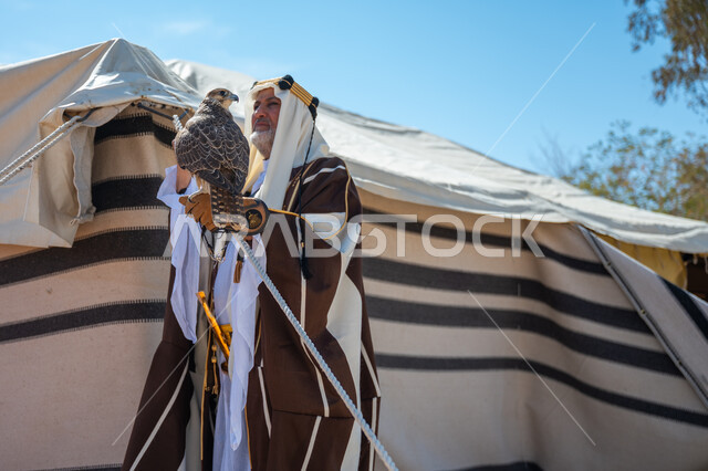 ارتداء الزي الشعبي في المناسبة الوطنية، يوم بدينا  22 فبراير، رجل عربي خليجي سعودي يرتدي العقال الذهبي والبشت يقف بجوار خيمة في الصحراء يحمل طائر الصقر على يده, ترويض وتدريب الطيور الجارحة، ذكرى تأسيس الدولة السعودية الأولى في 1727م، رمز القوة والتحدي وحدة البصر