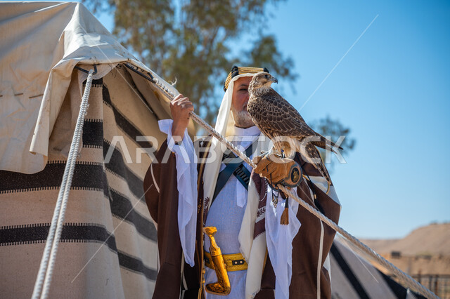 ارتداء الزي الشعبي في المناسبة الوطنية، يوم بدينا  22 فبراير، رجل عربي خليجي سعودي يرتدي العقال الذهبي والبشت يقف بجوار خيمة في الصحراء يحمل طائر الصقر على يده, ترويض وتدريب الطيور الجارحة، ذكرى تأسيس الدولة السعودية الأولى في 1727م، رمز القوة والتحدي وحدة البصر