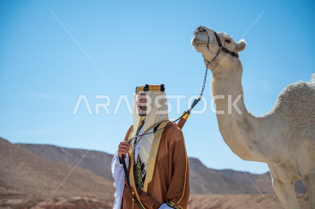 ارتباط الإبل بالأصالة والعراقة، الاهتمام والعناية بتربية حيوانات الجمال، رجل عربي خليجي سعودي يرتدي العقال الذهبي والبشت يقف بجانب حيوان الجمل في الصحراء, ارتداء الزي الشعبي في المناسبة الوطنية، يوم بدينا  22 فبراير، ذكرى تأسيس الدولة السعودية الأولى في 1727م