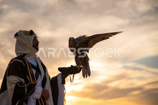 يوم بدينا 22 فبراير، ذكرى تأسيس الدوله السعوديه الاولى 1727 م, مكانة الصقور في التاريخ السعودي, رمز القوة والتحدي وحدة البصر, توارث شغف تربية الجوارح, منظر السماء عند شروق الشمس, صورة مقربة من الجانب لرجل عربي خليجي سعودي يرتدي البشت والعقال يحمل طائر الصقر