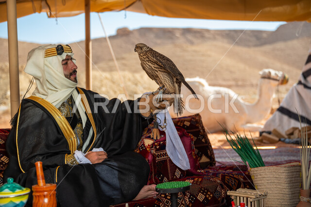 مكانة الصقور في التاريخ السعودي, ذكرى تأسيس الدوله السعوديه الأولى 1727 م, يوم بدينا 22 فبراير، الاهتمام بتربيه الطيور البرية, رجل عربي خليجي سعودي يرتدي الغترة والبشت والعقال الذهبي العريض يجلس بالخيمة يحمل على يده طائر الصقر بتعابير الفخر, تدريب الصقر الجارح