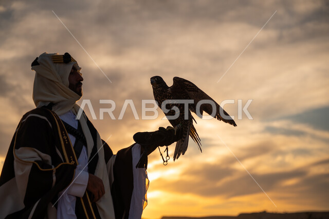 مكانة الصقور في التاريخ السعودي, رمز القوة والتحدي وحدة البصر, توارث شغف تربية الجوارح, منظر السماء عند شروق الشمس, يوم بدينا 22 فبراير، ذكرى تأسيس الدوله السعوديه الاولى 1727 م, صورة مقربة من الجانب لرجل عربي خليجي سعودي يرتدي البشت والعقال يحمل طائر الصقر